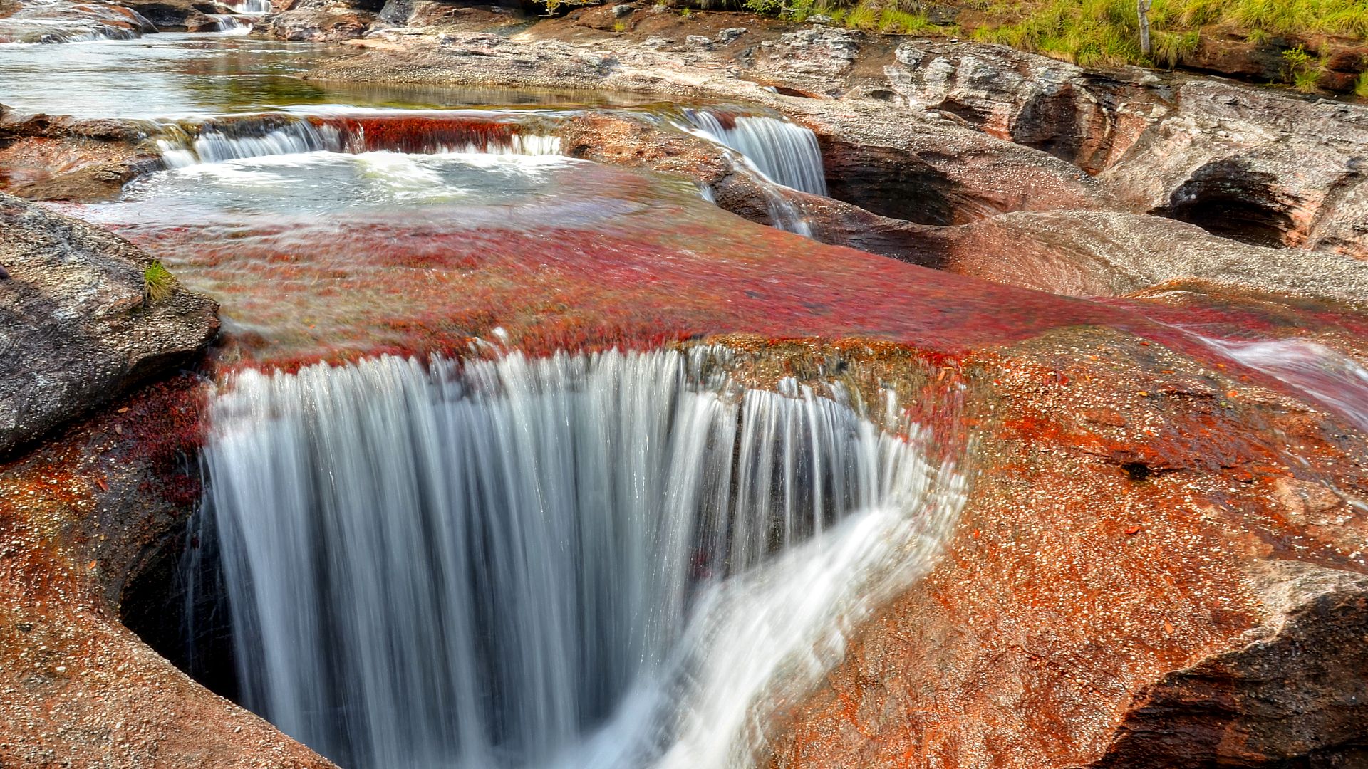 File:Los Ocho en Caño Cristales.jpg