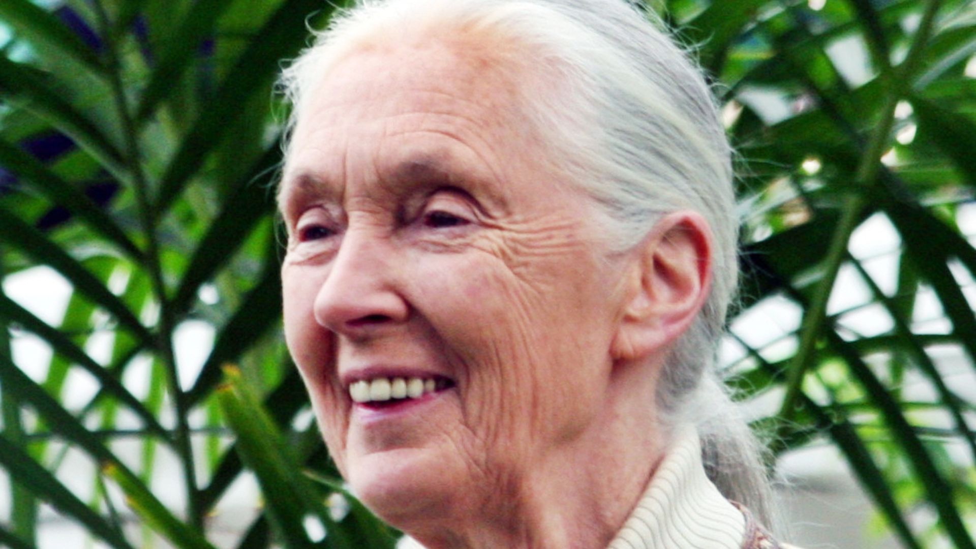 File:Jane Goodall GM.JPG