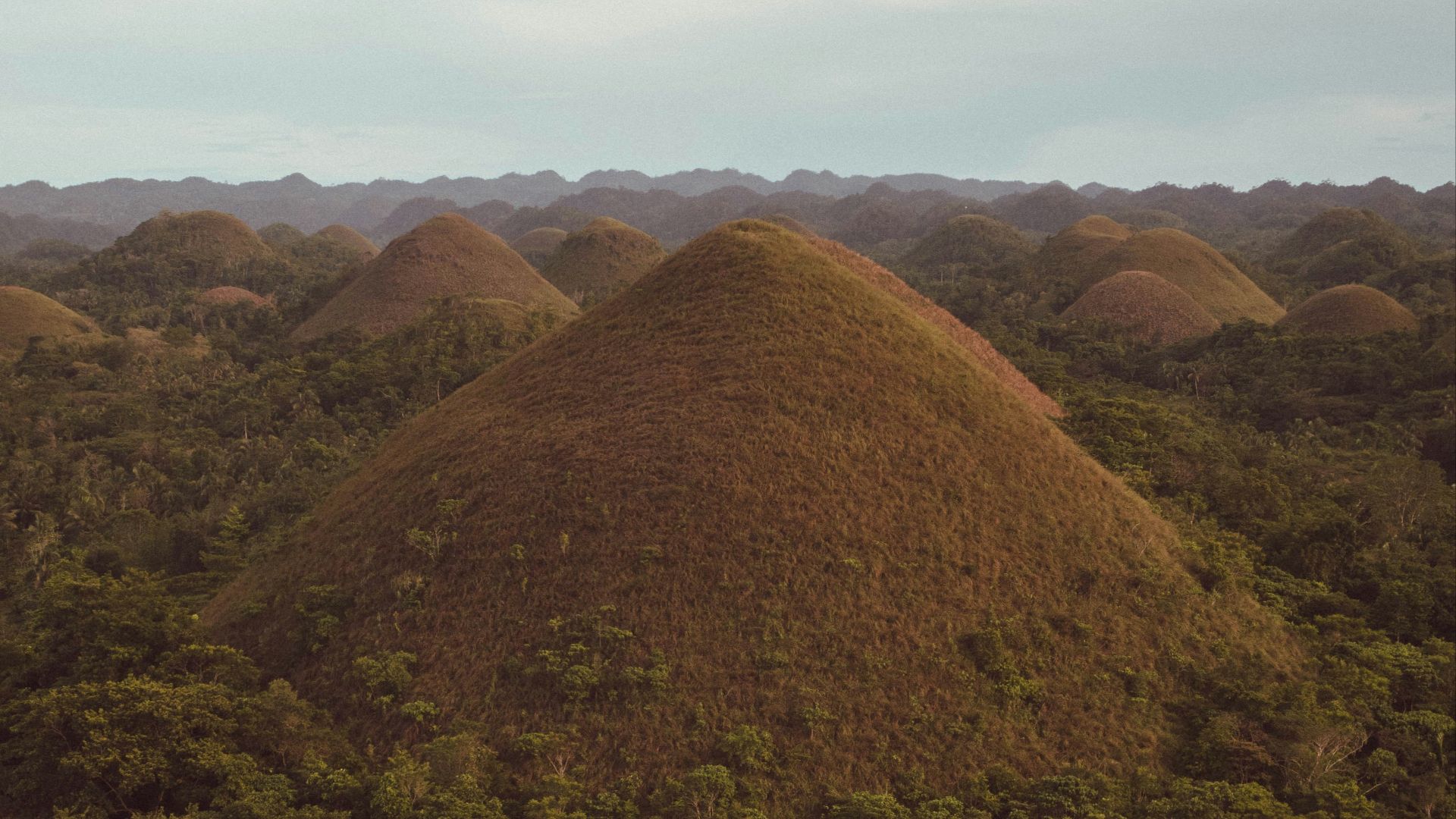green trees on brown mountain under white clouds during daytime