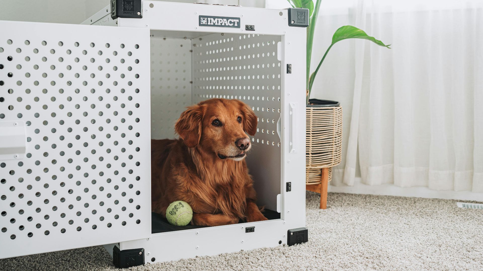 Impact Dog Crates