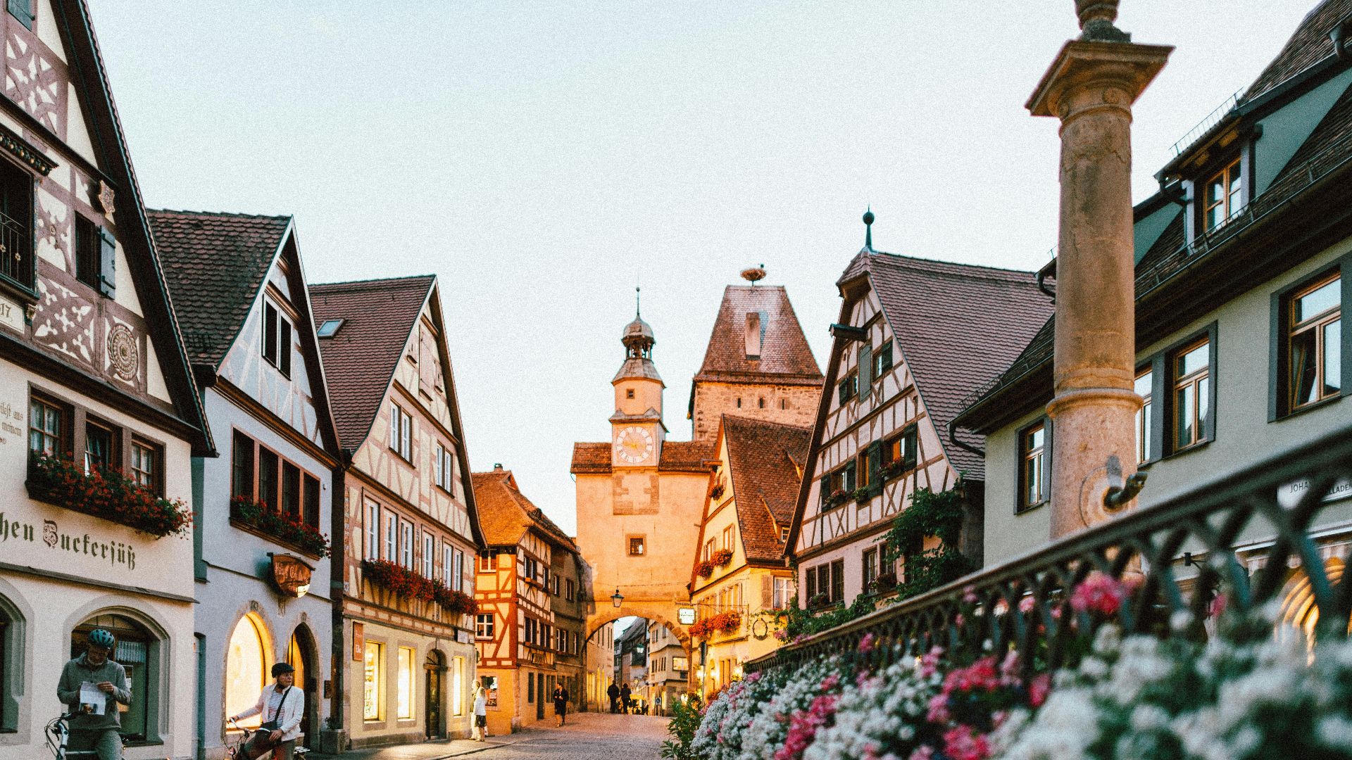 white and pink petaled flowers on metal fence near concrete houses and tower at daytime