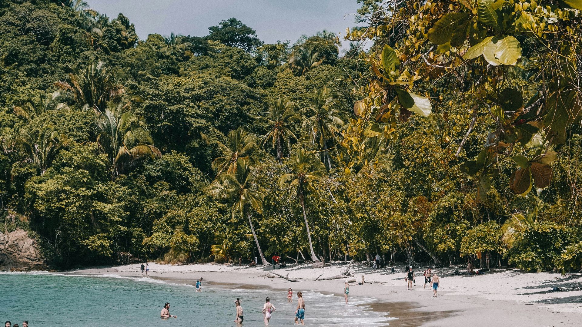 a group of people on a beach
