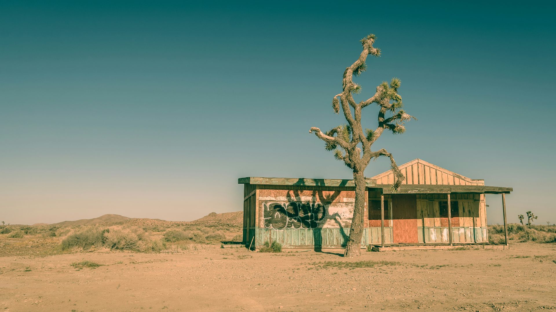 green and brown tree painting