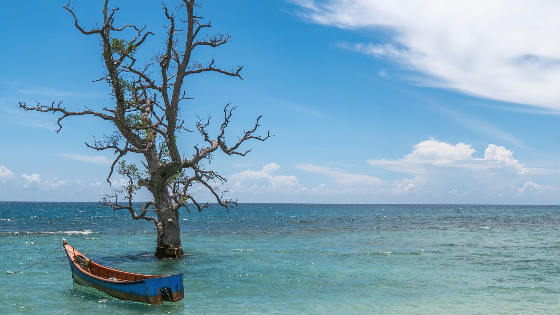 brown wooden boat on beach during daytime