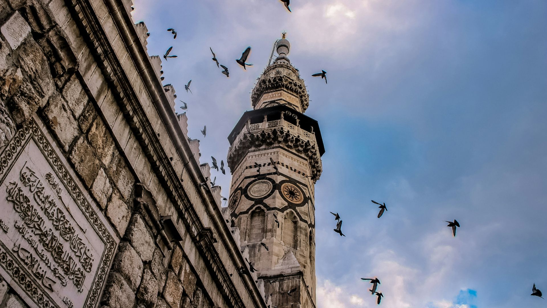 low angle photography of flock of birds flying over the building during daytime