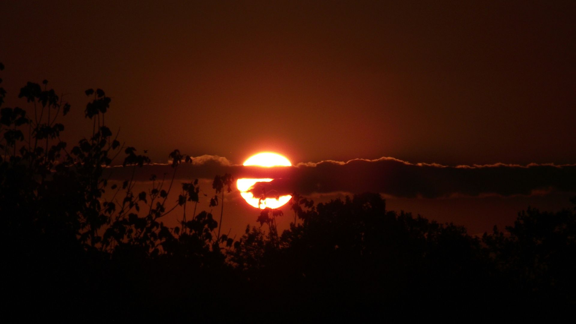 sunset photograph during nighttime