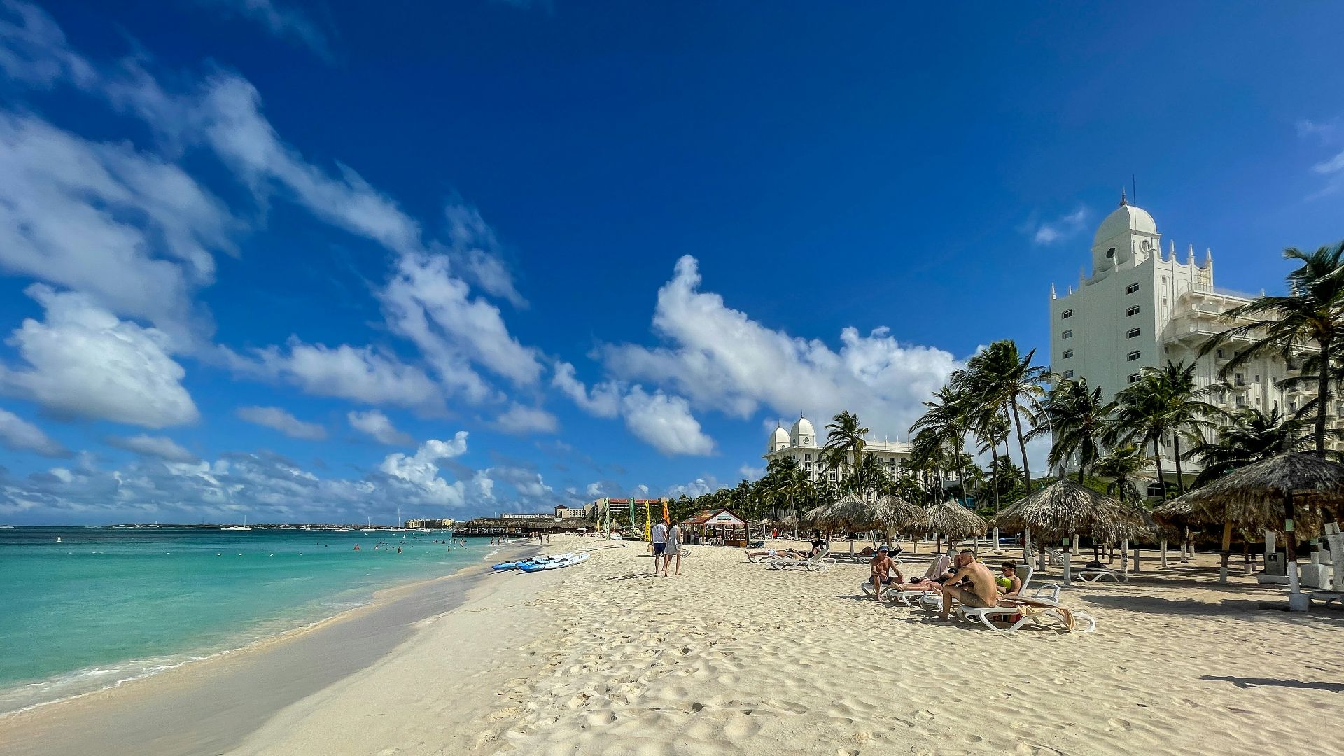 people on beach during daytime