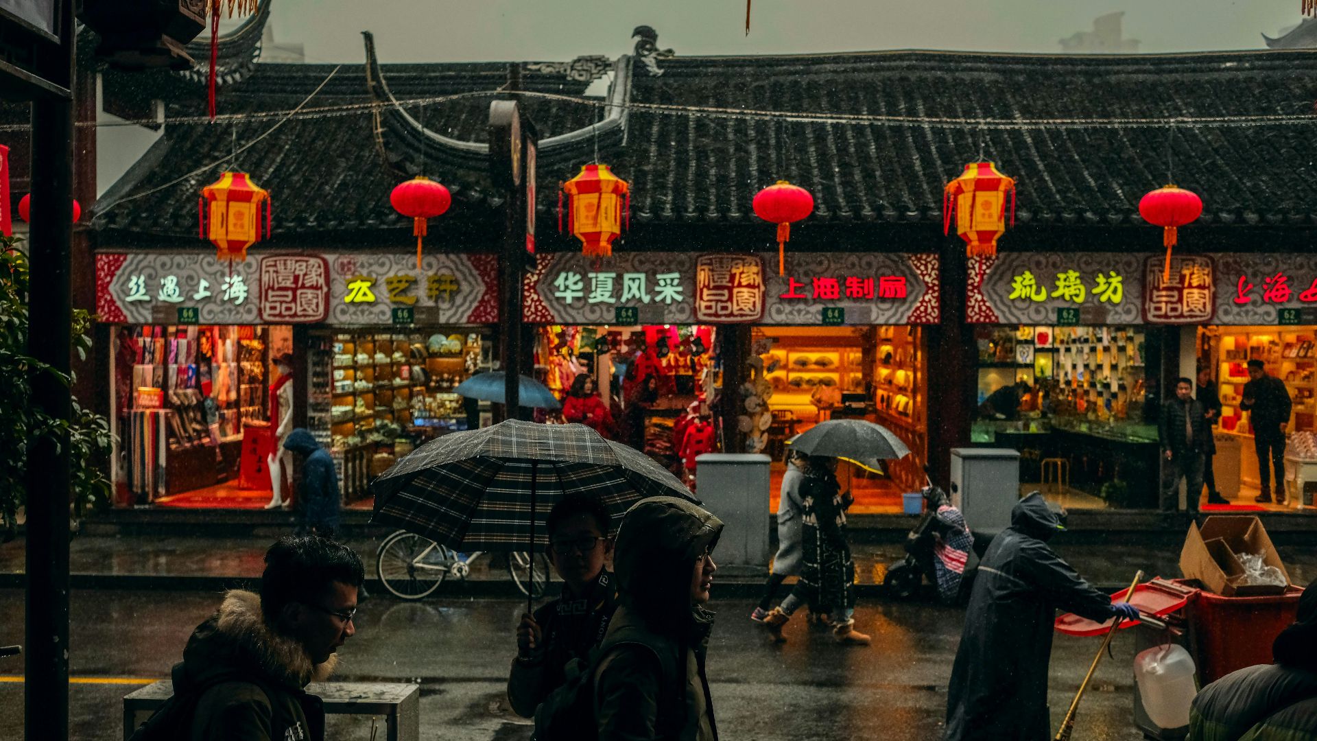 person carrying umbrellas