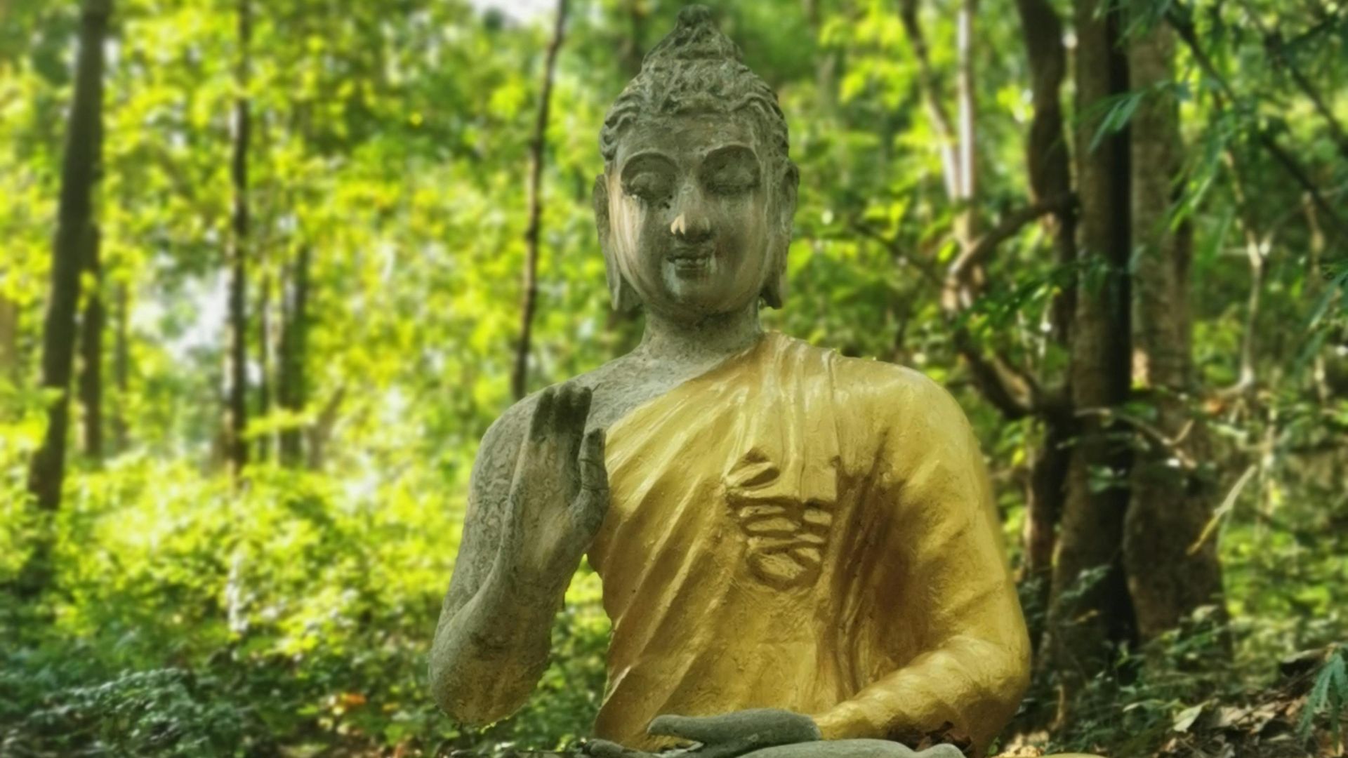 เพชร พรพิภัทร