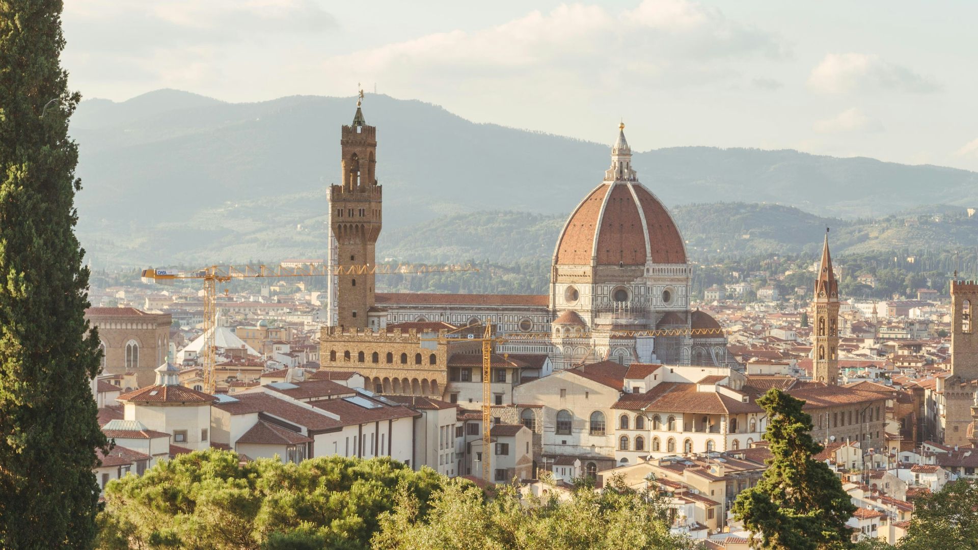 aerial photo of green leafed trees and white ruins