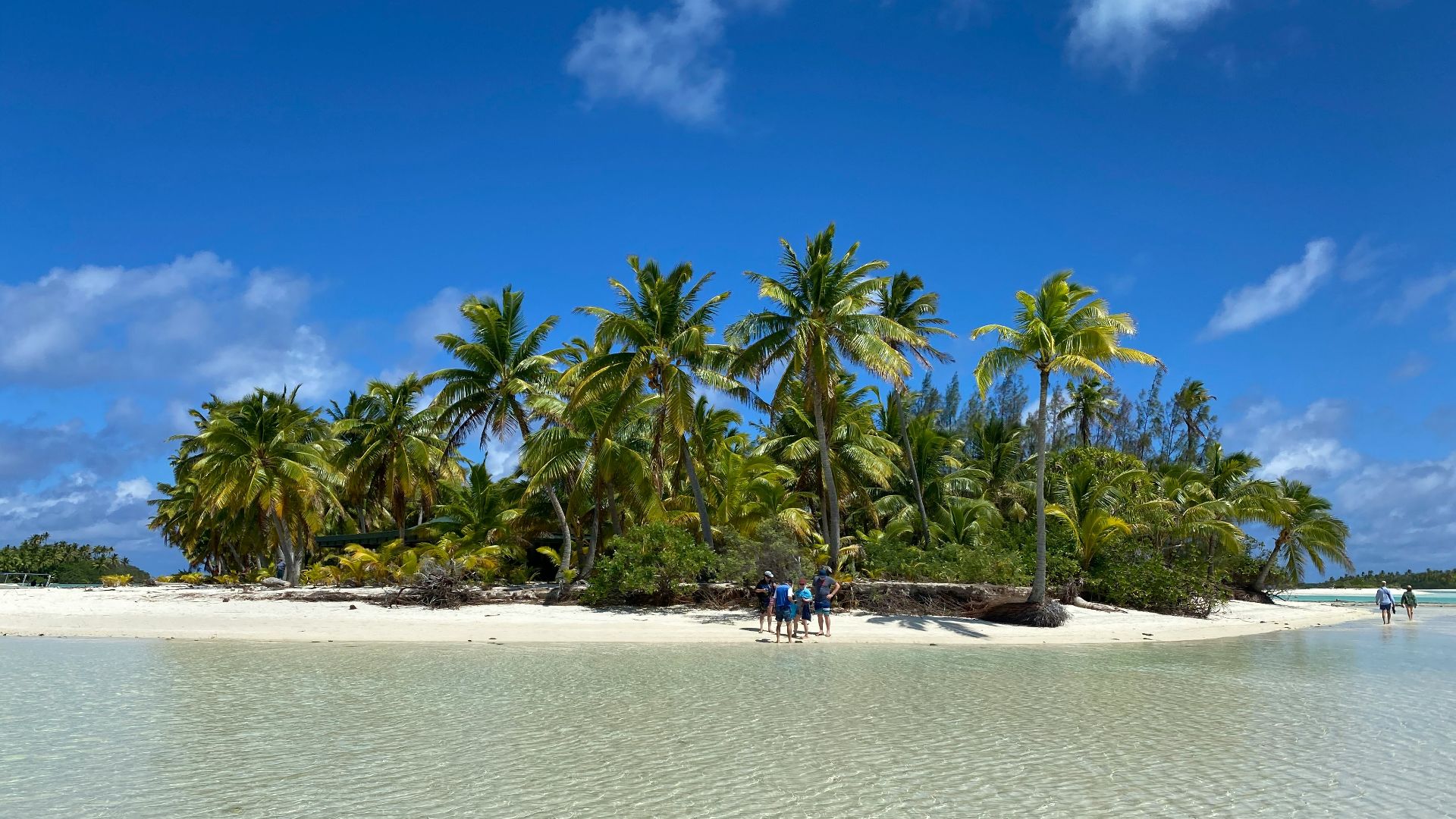 people on beach during daytime