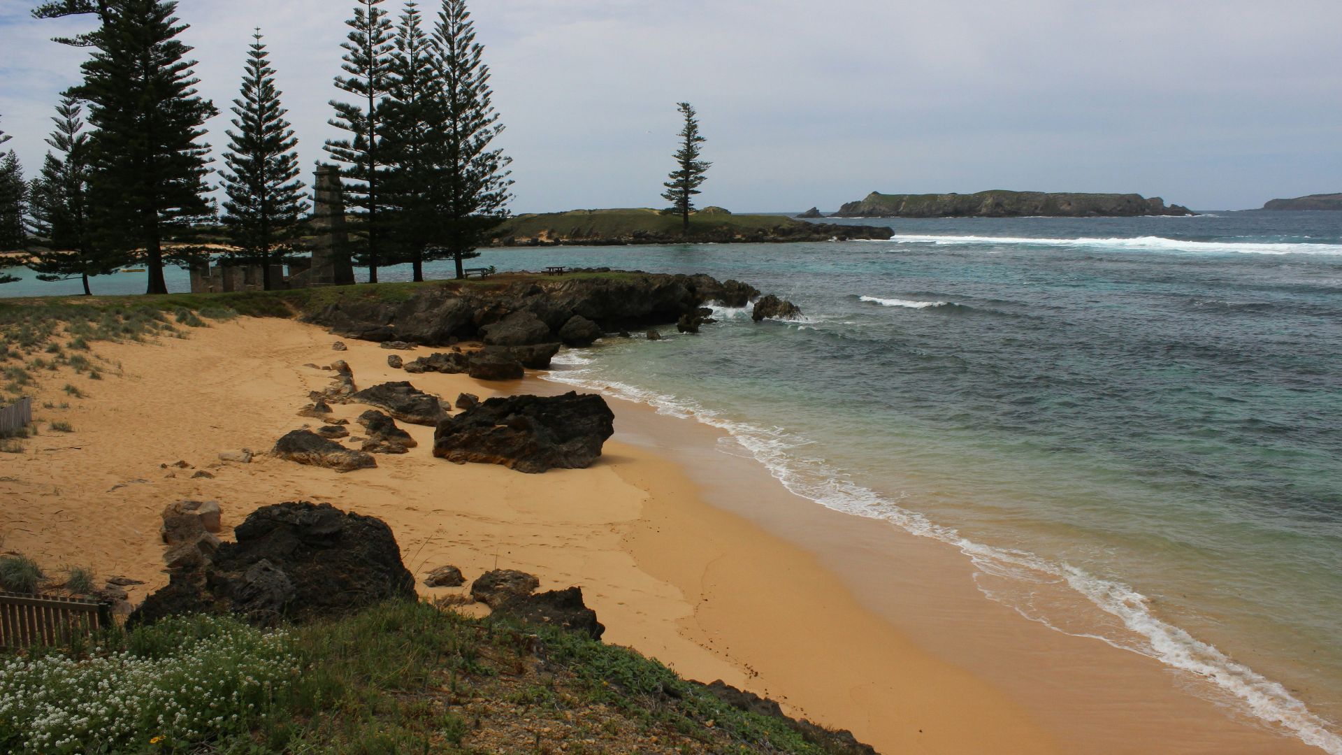A sandy beach next to the ocean with trees in the background