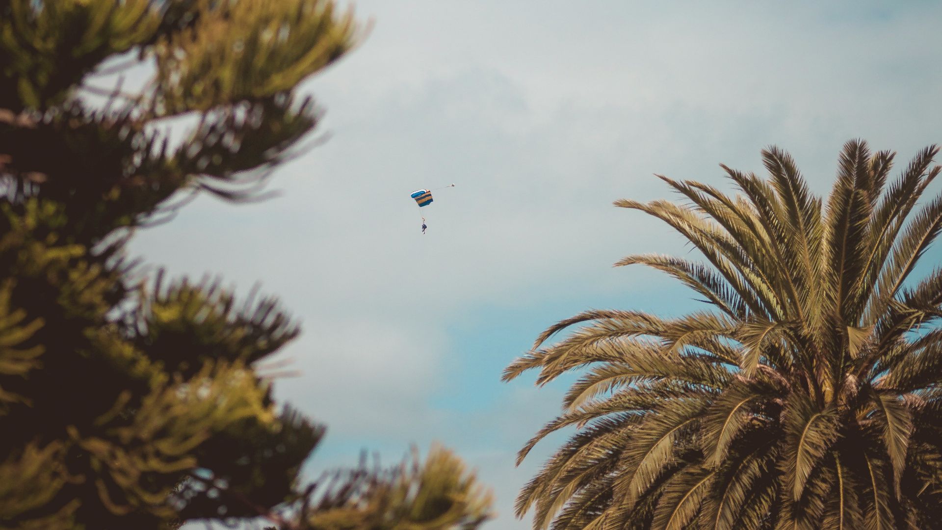 two kites flying on blue sky