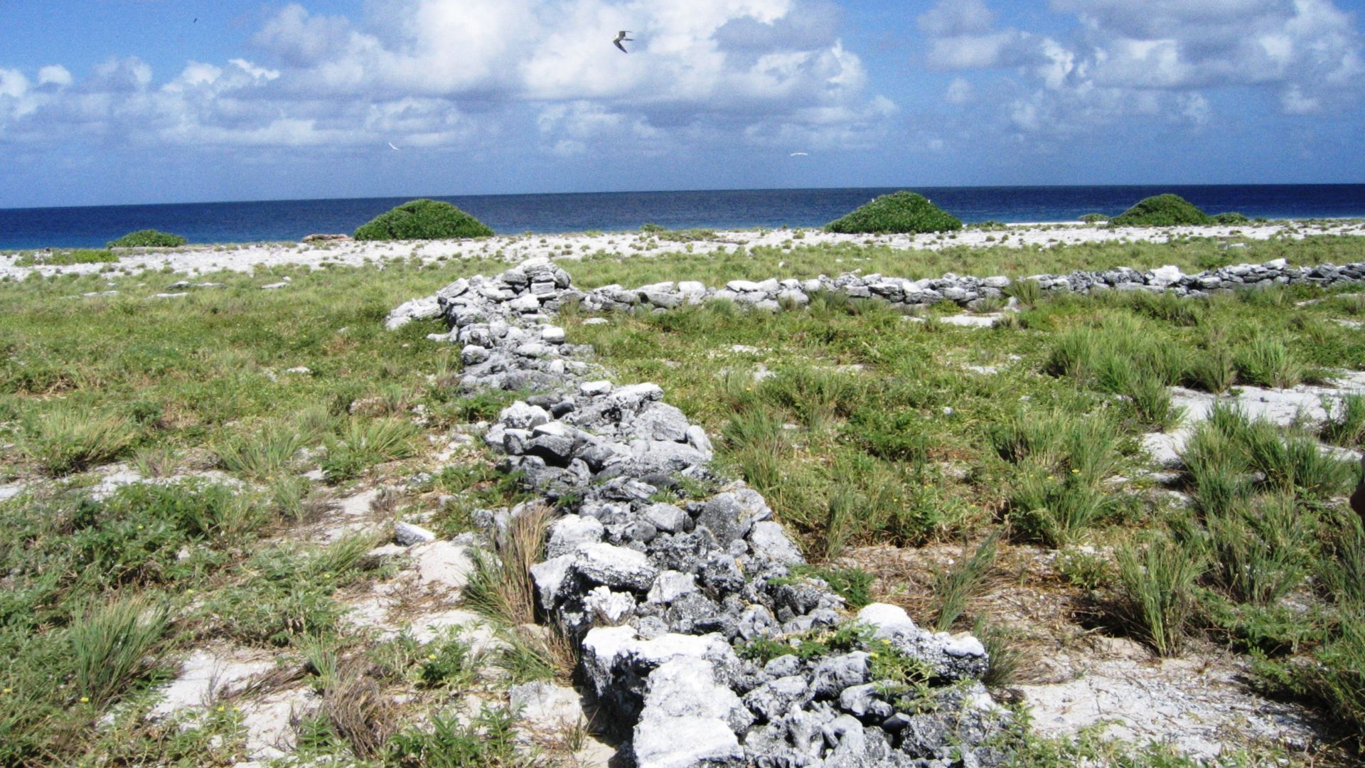 File:Howland Itascatown.jpg