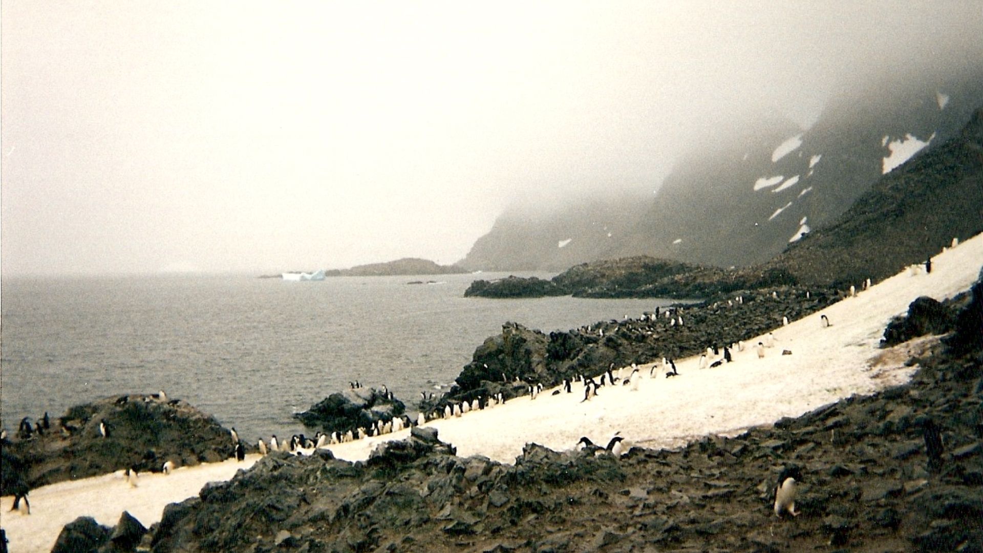 File:Laurie Island in the South Orkney Islands.jpg