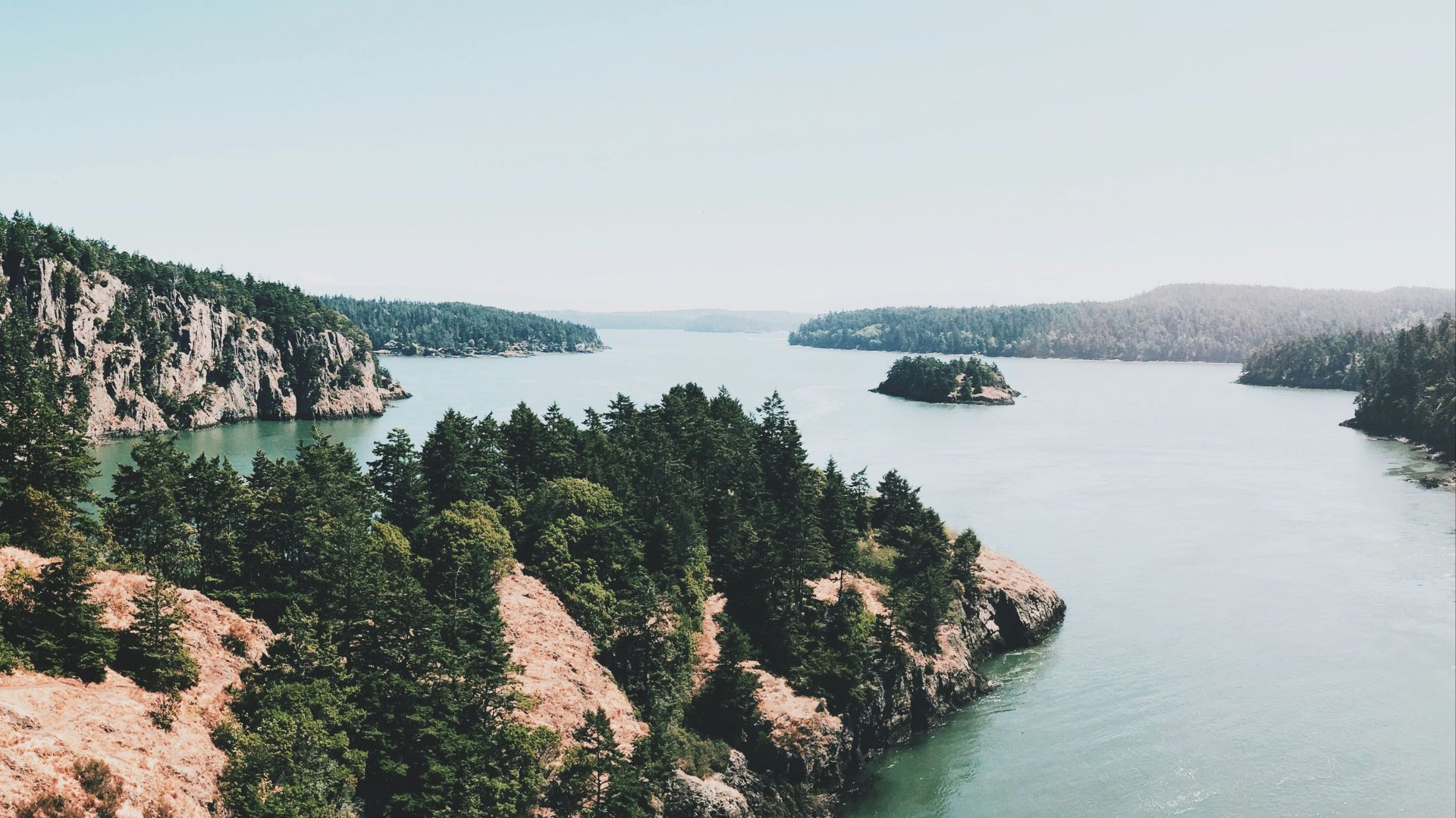 photo of green trees near body of water
