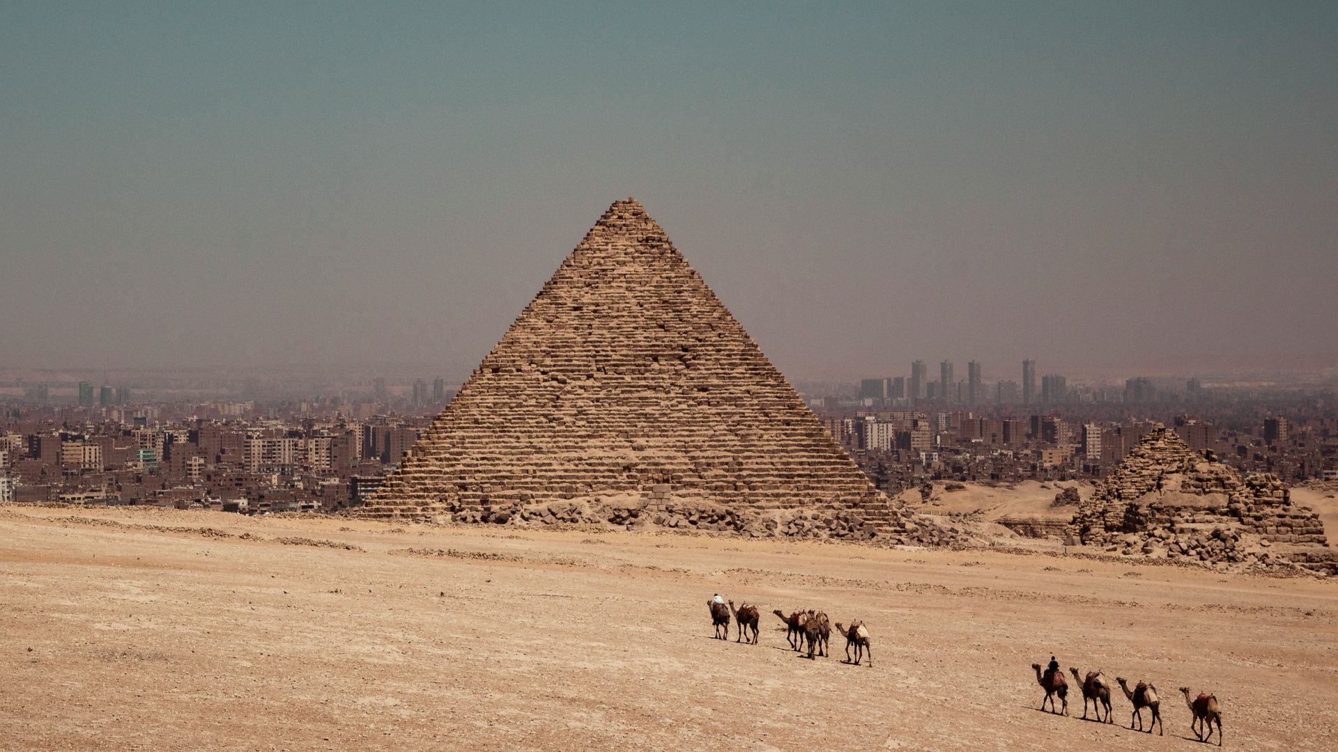 camels near Pyramid of Egypt during daytime