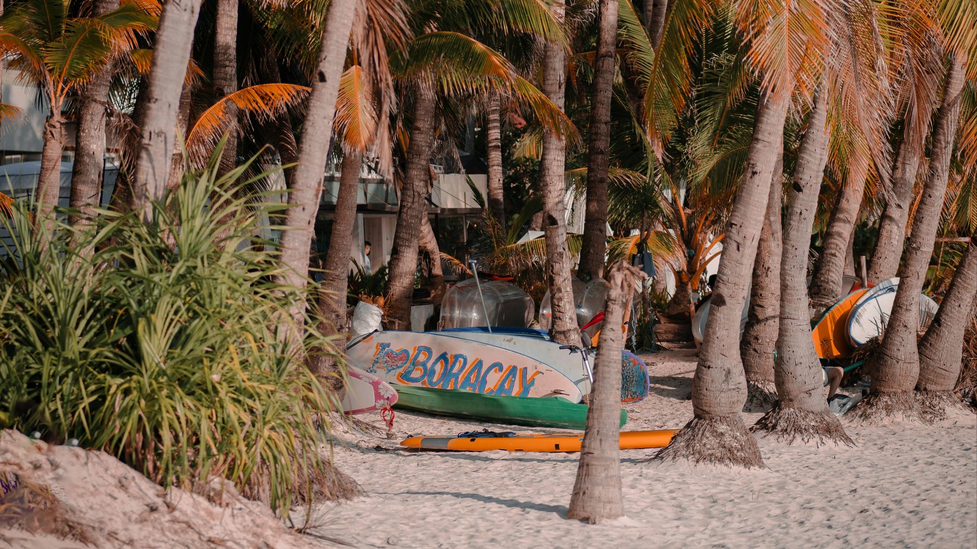 a row of palm trees next to a beach
