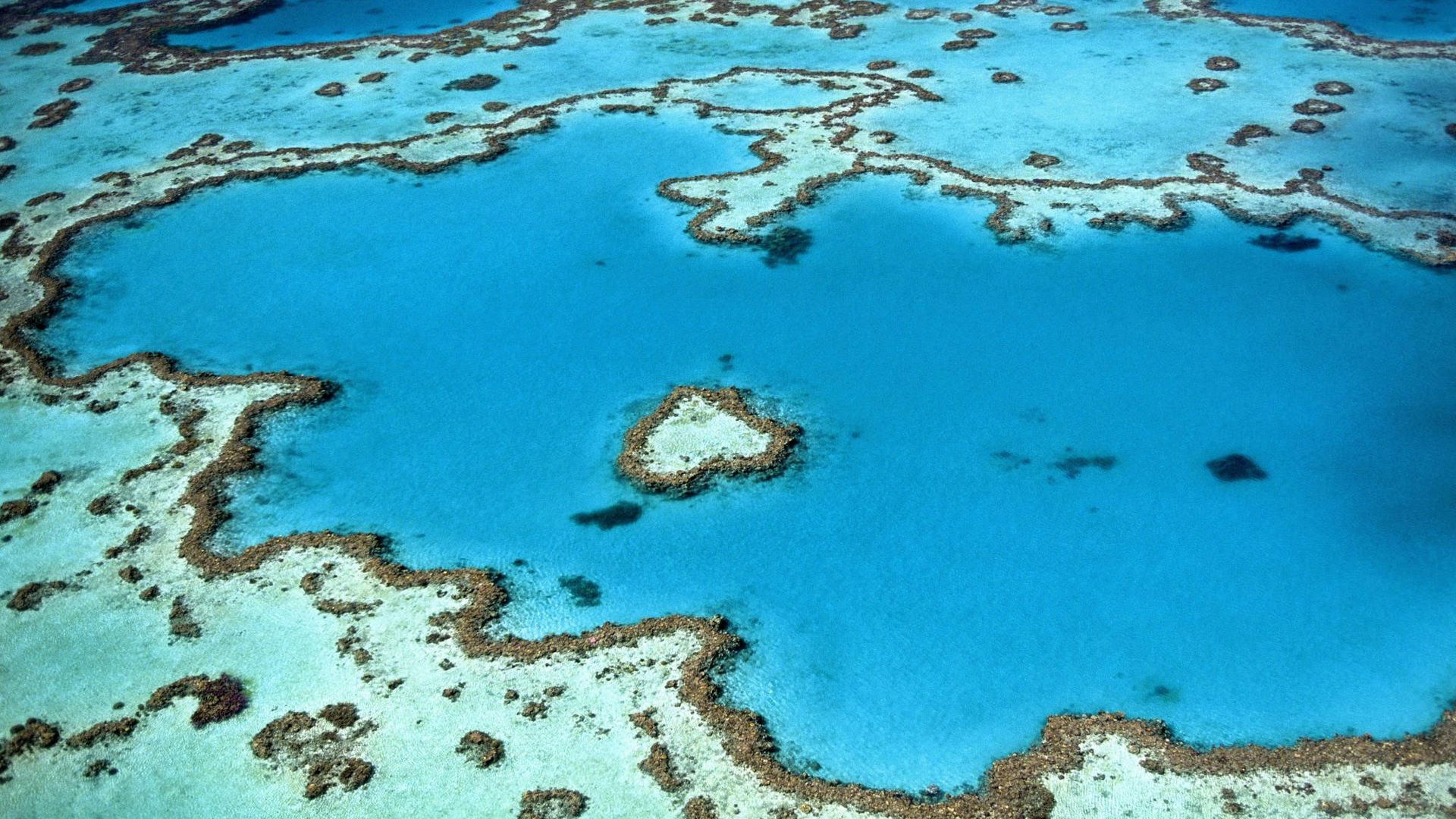 aerial photography of seawater