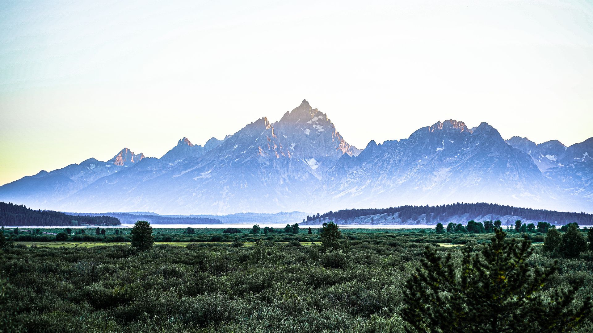 A field with a mountain in the background