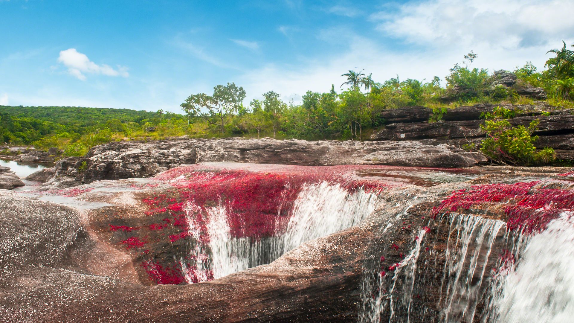 File:CAÑO CRISTALES, SECTOR LOS OCHOS (COLOMBIA).jpg