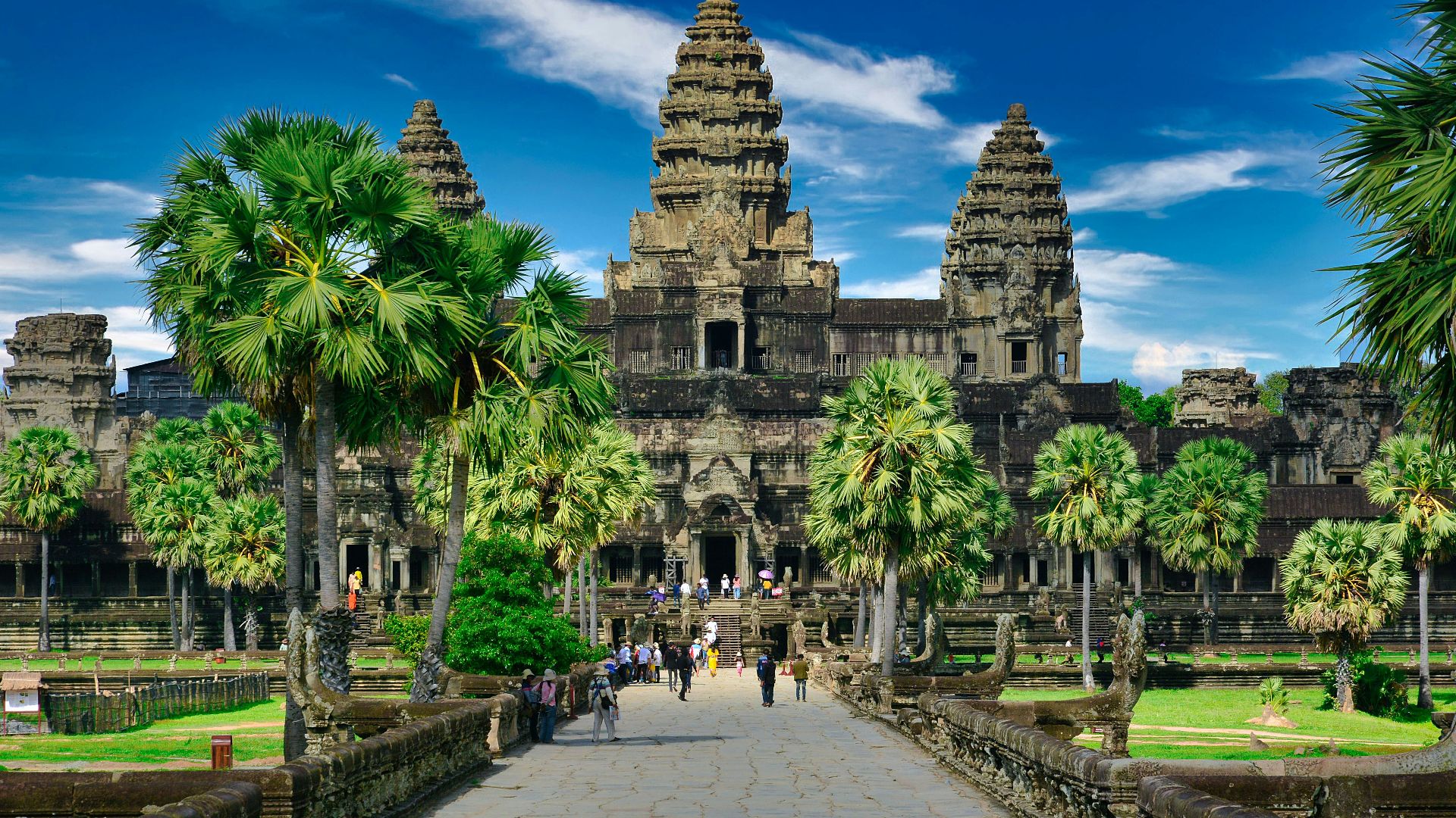 people walking on park near trees and building during daytime