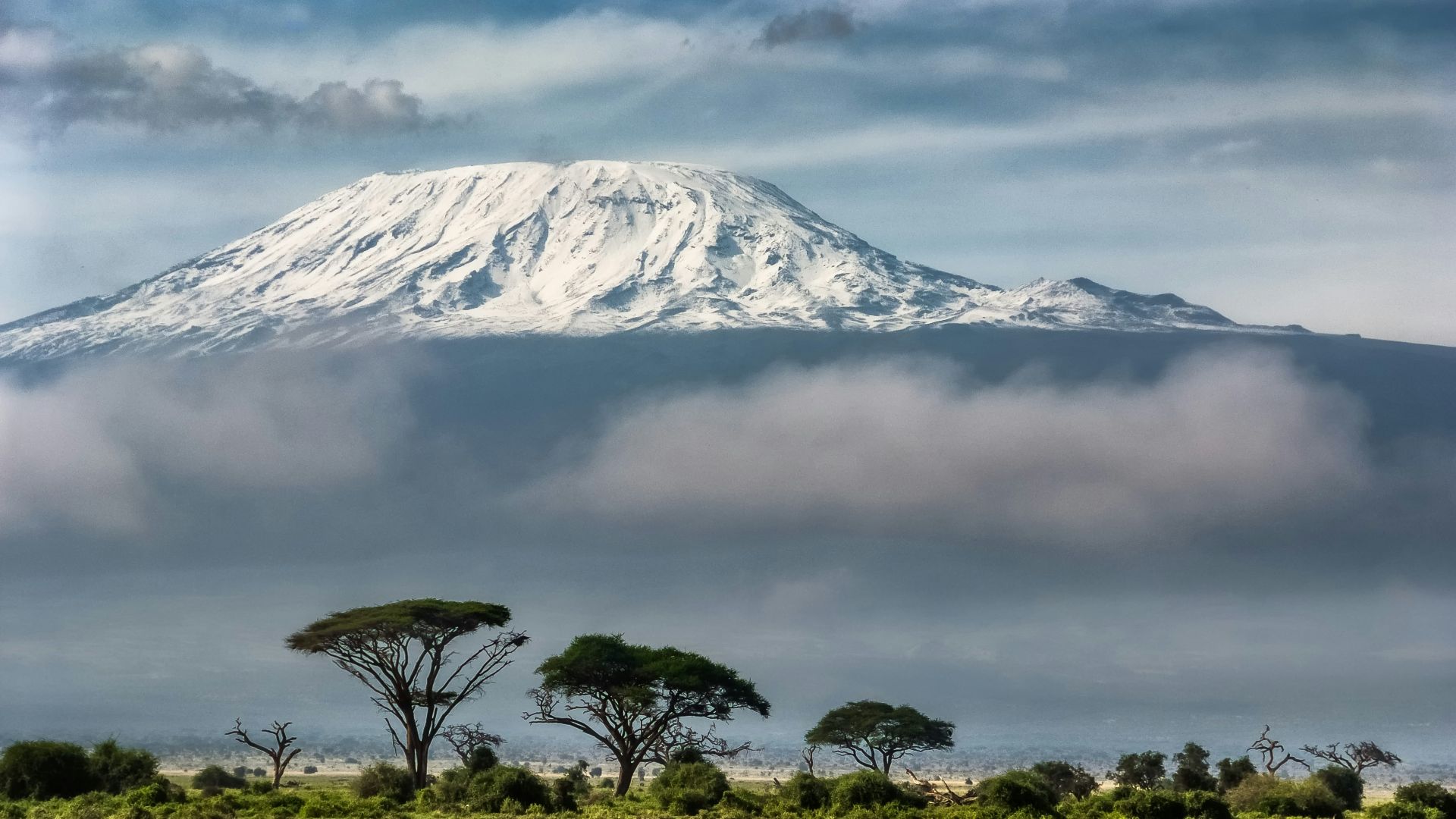 green trees near snow covered mountain during daytime
