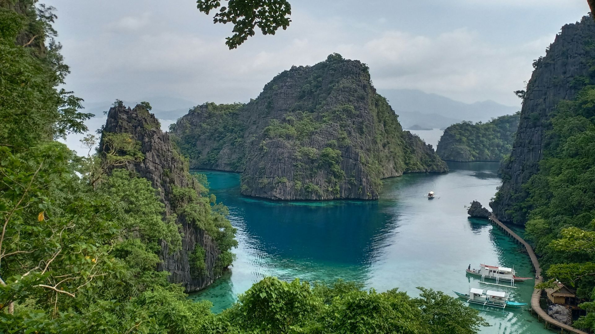 green trees on mountain beside river during daytime