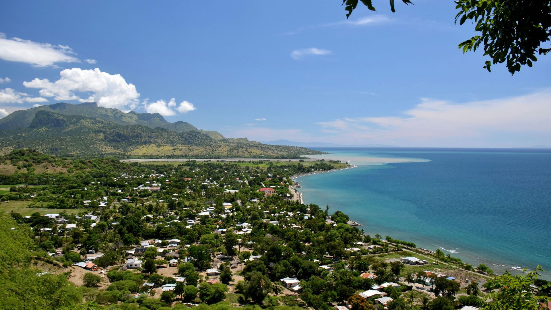 green trees near body of water under blue sky during daytime