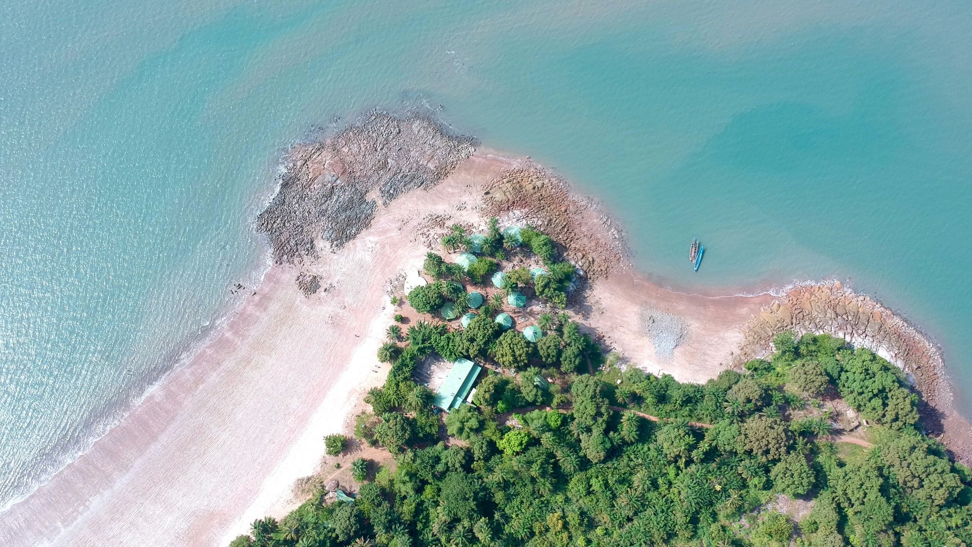 aerial photography of trees and beach
