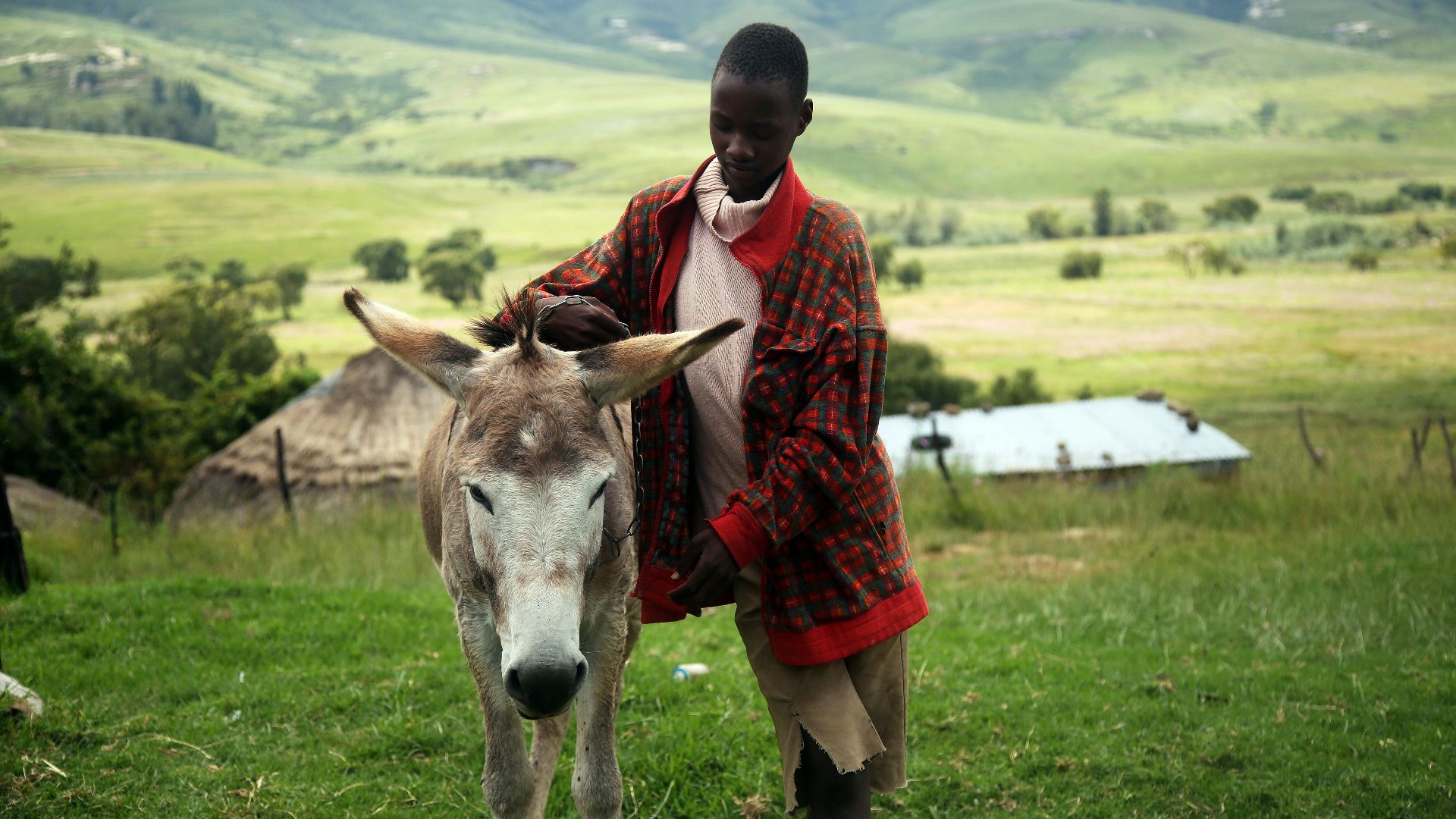 man holding beige horse