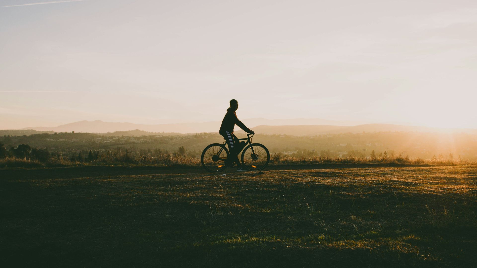 person riding bicycle near grass in sunset
