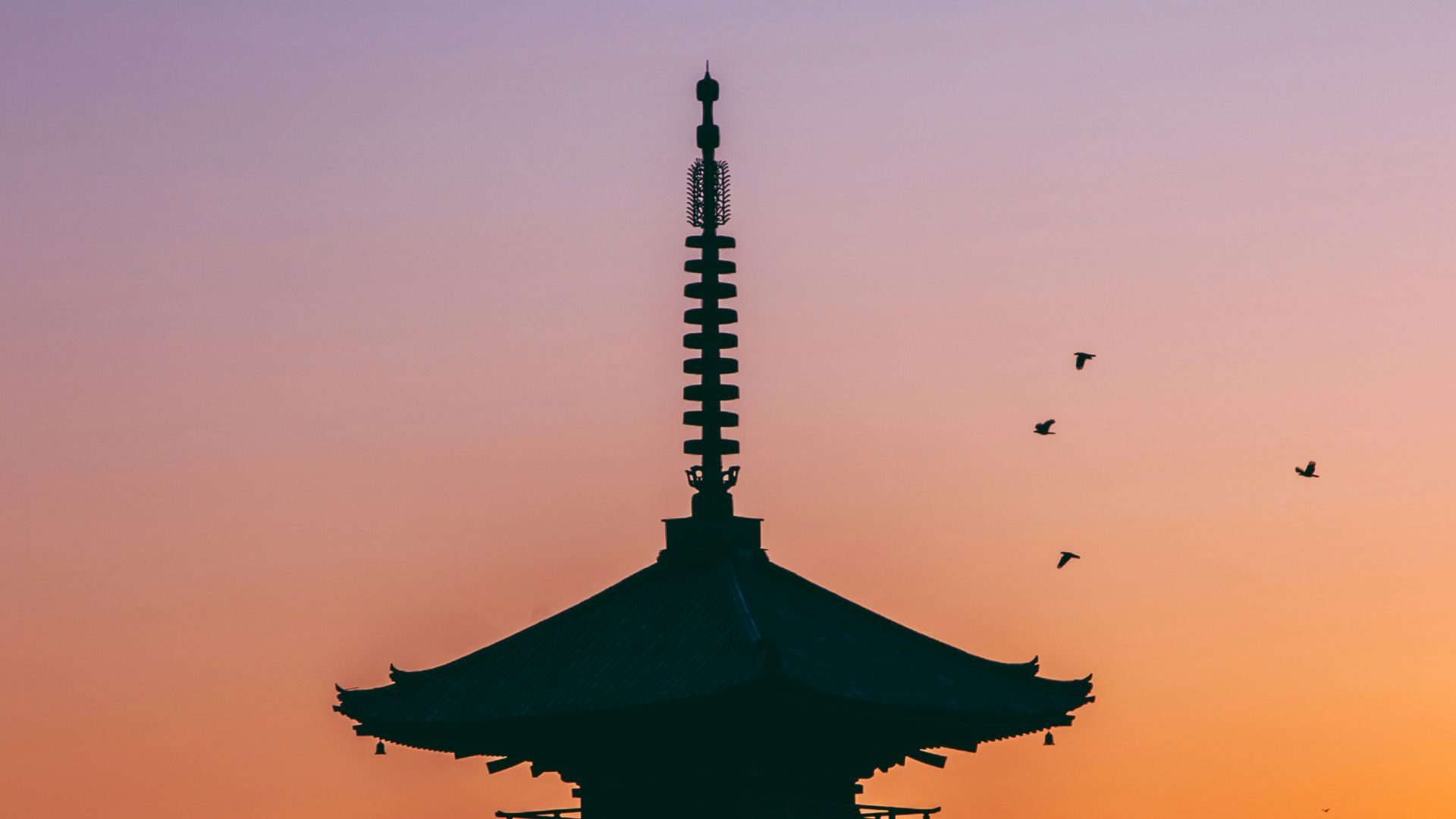 silhouette photo of pagoda