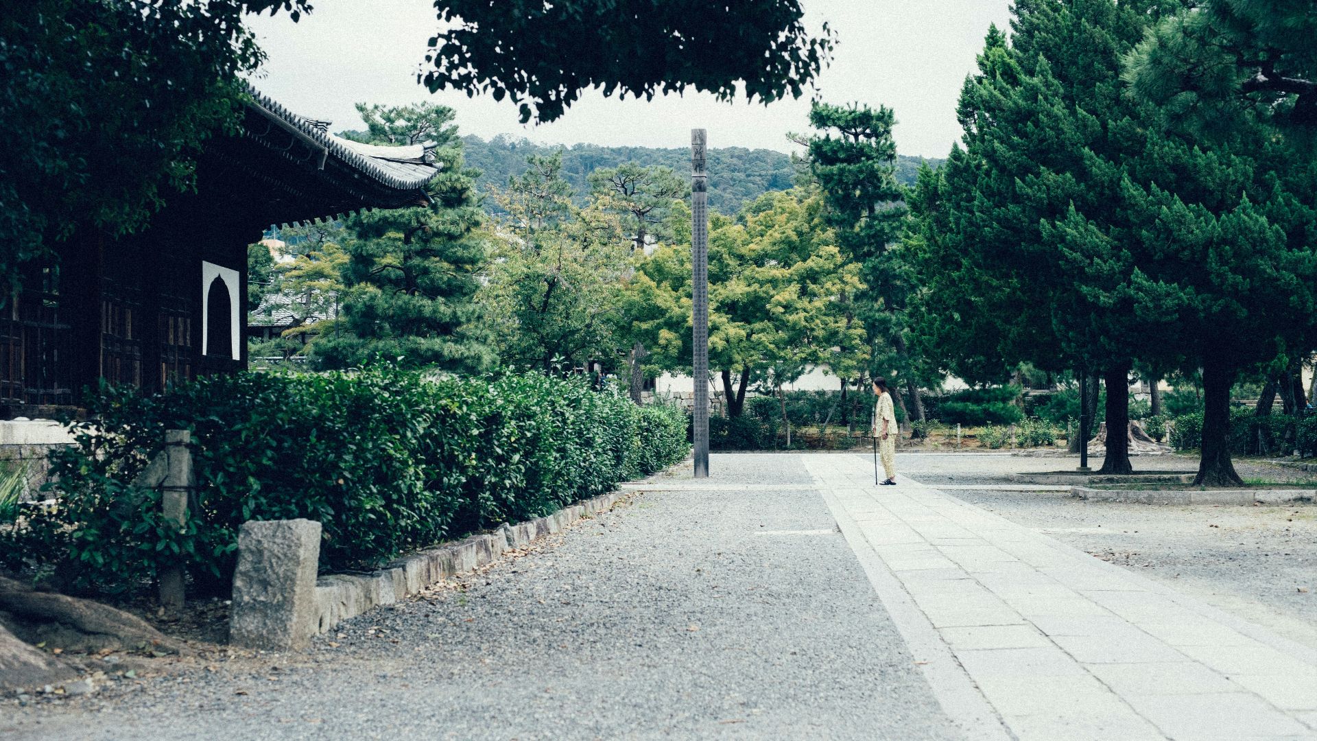 person standing on concrete walkway