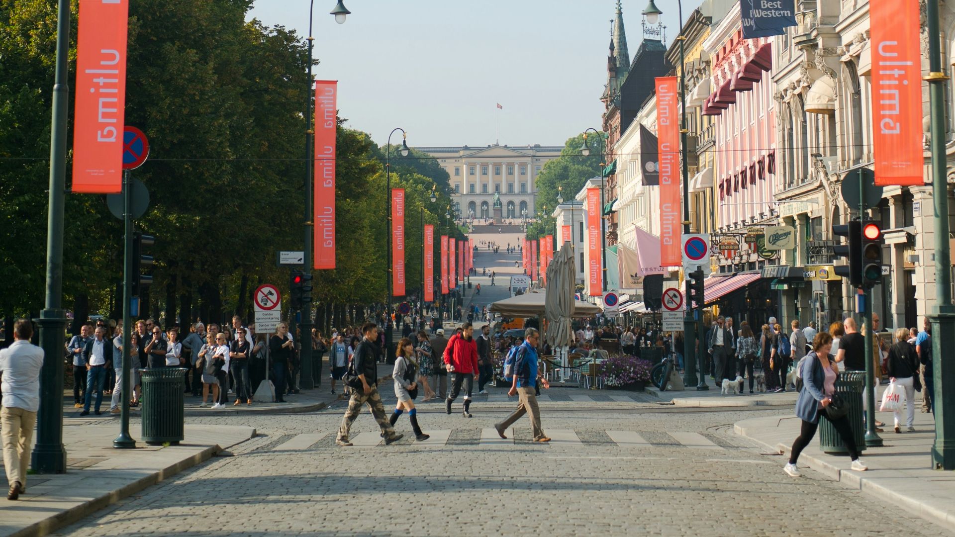 people walking on street during daytime