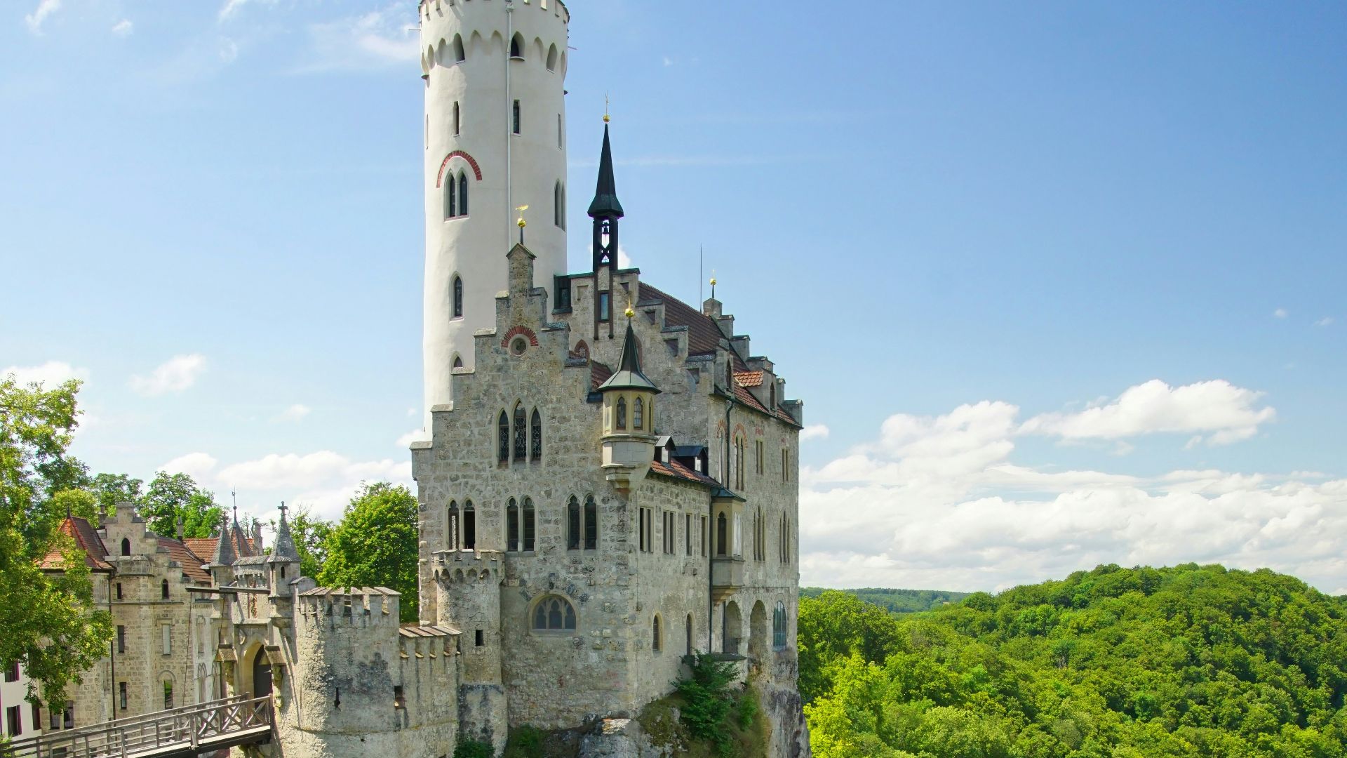A castle on top of a cliff in the middle of a forest