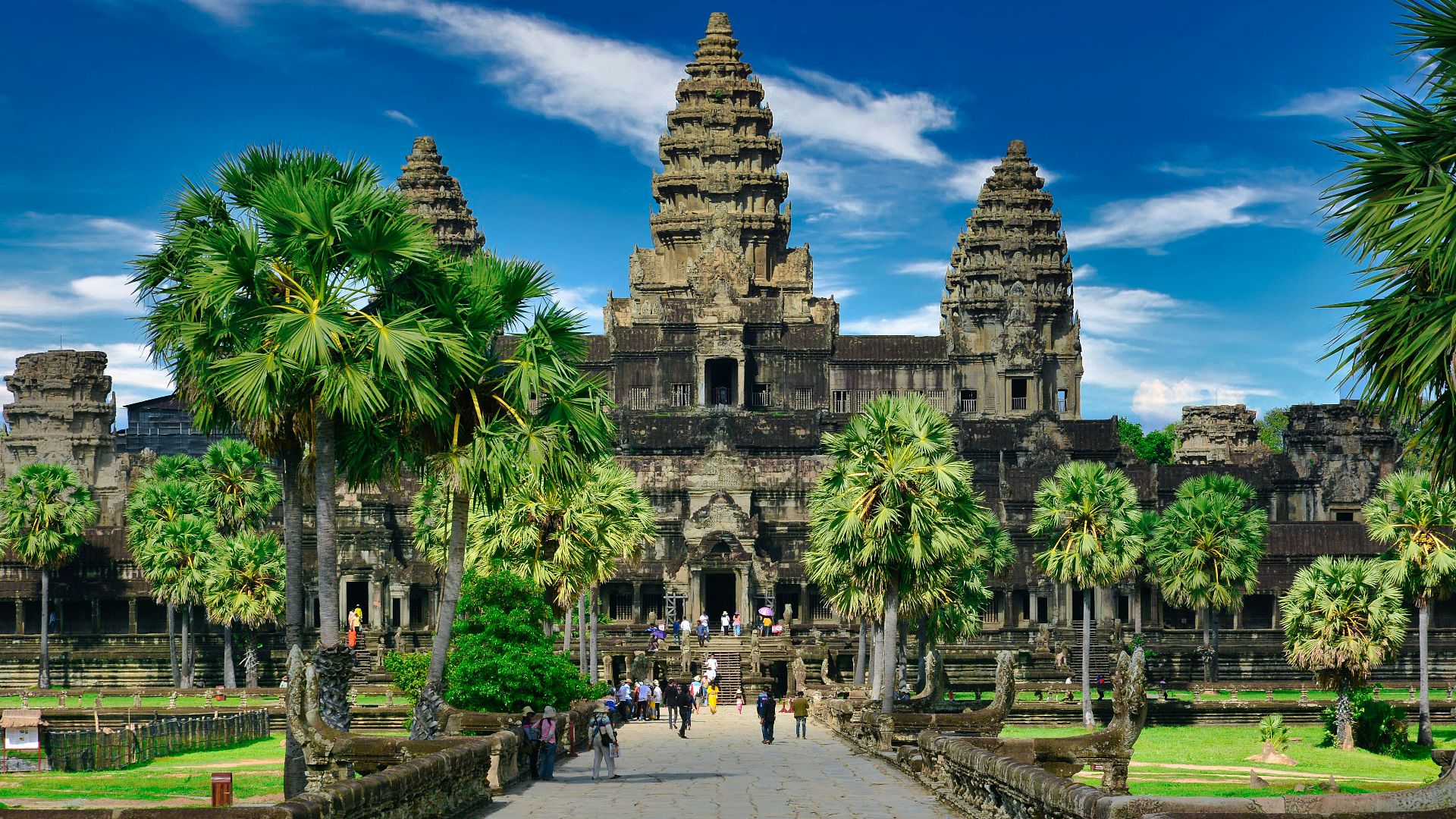 people walking on park near trees and building during daytime
