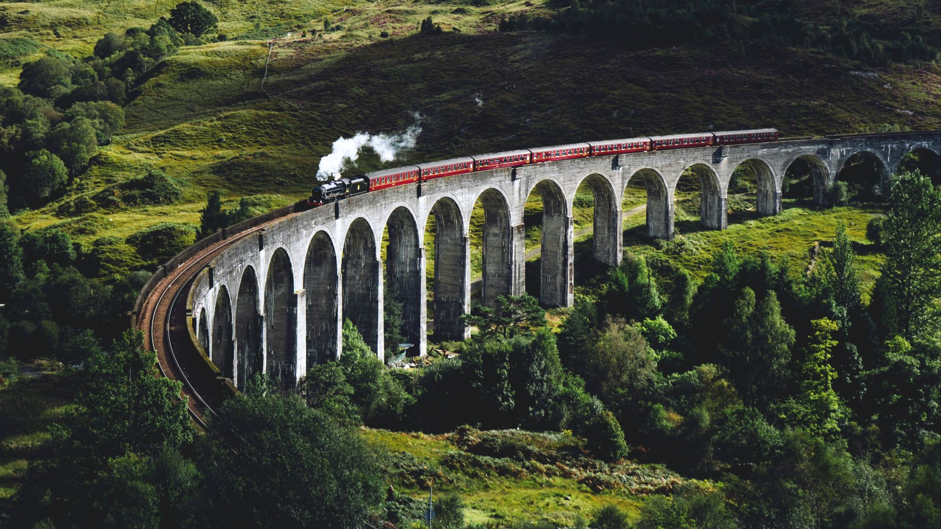 train on bridge surrounded with trees at daytime