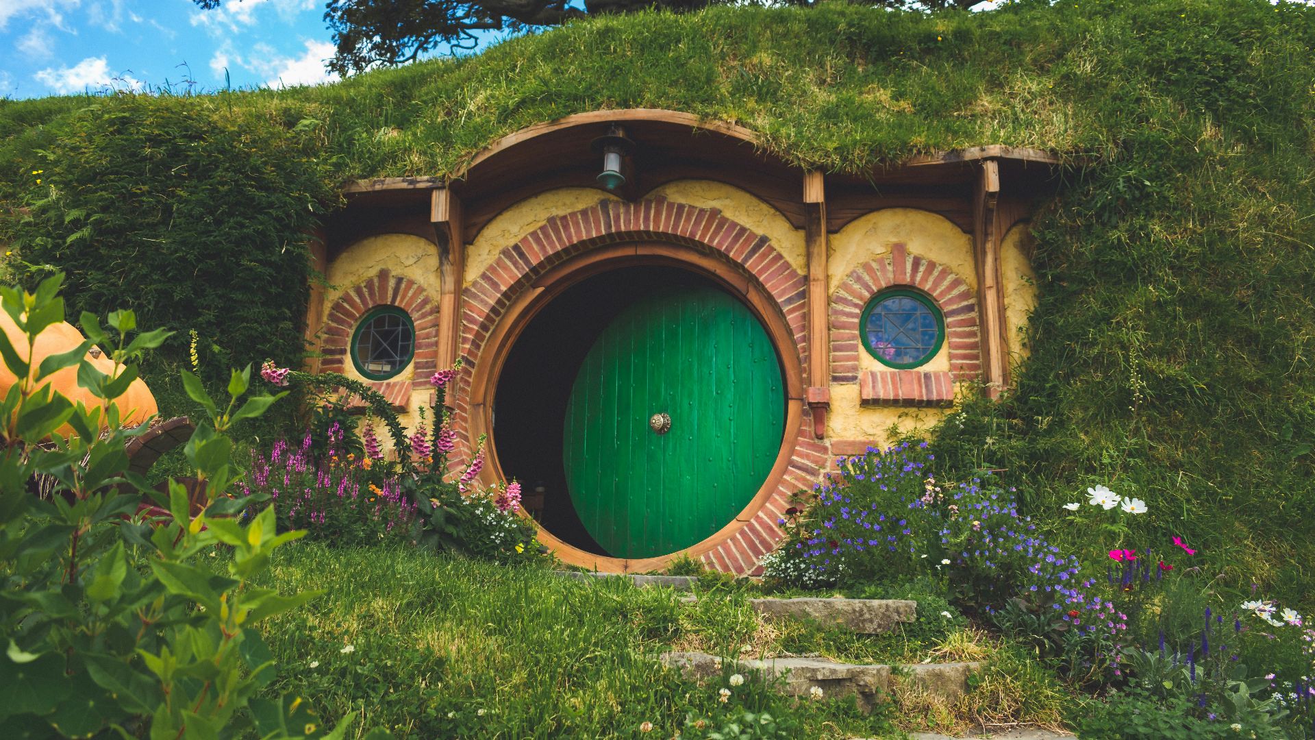 green and brown tunnel surrounded by green trees during daytime