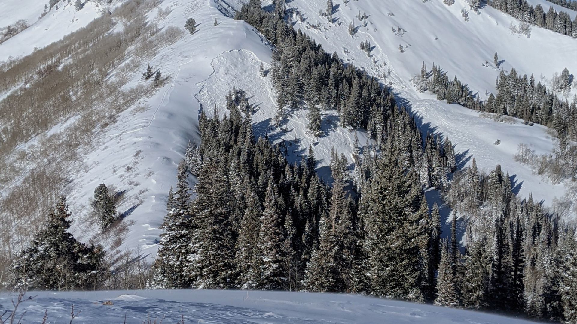 File:Wilson Peak Avalanches (Wasatch Mountains, Utah).jpg