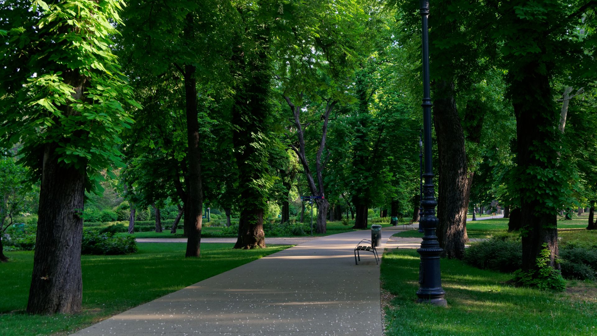 File:20190502 Park na Wyspie Małgorzaty w Budapeszcie 0729 1895 DxO.jpg
