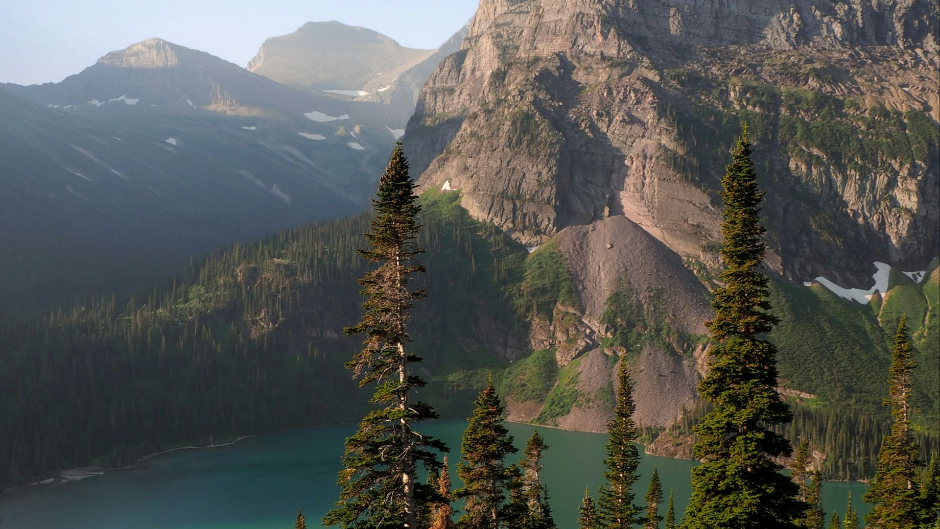 green pine trees near mountain during daytime
