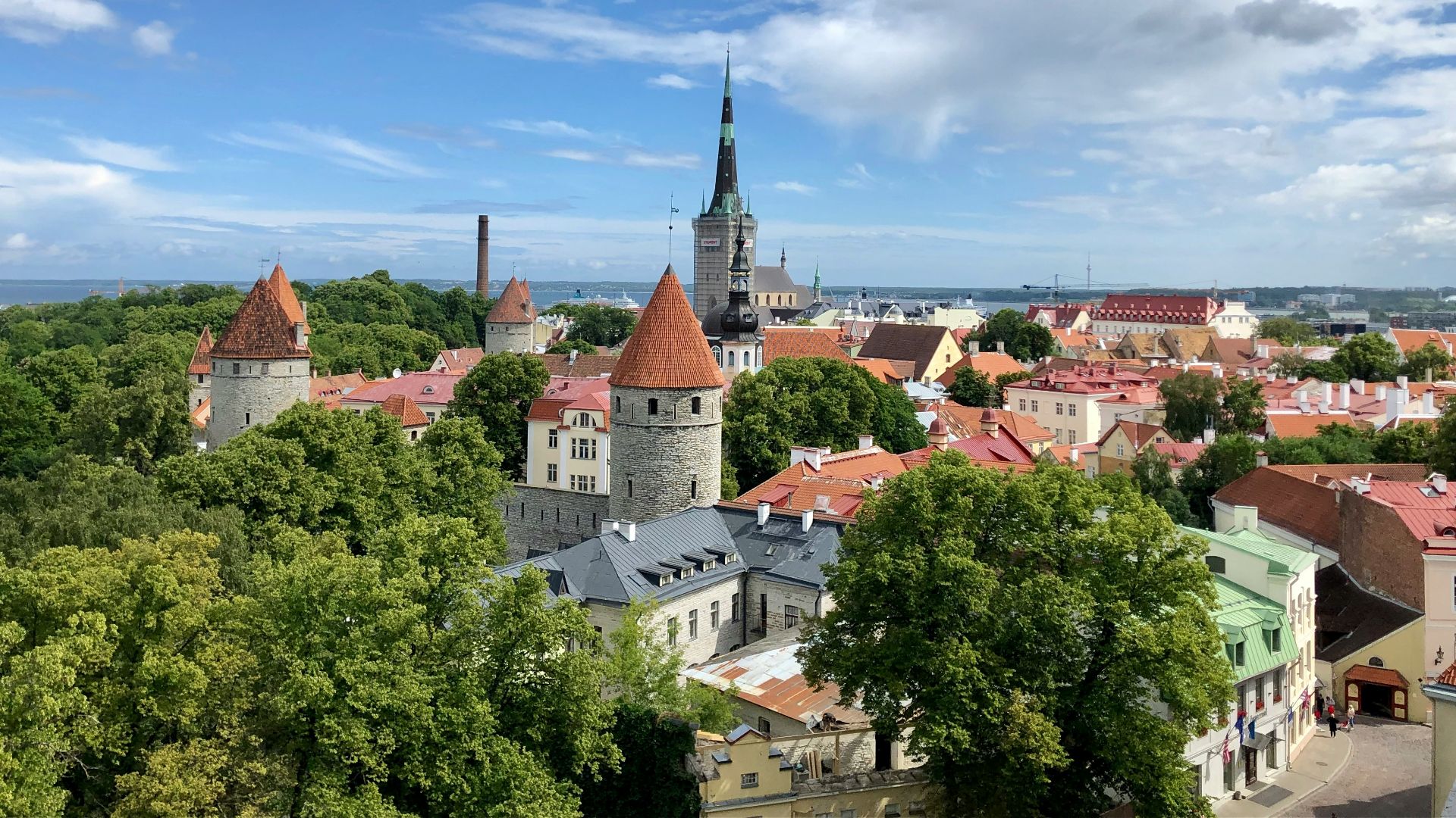 aerial photo of city building
