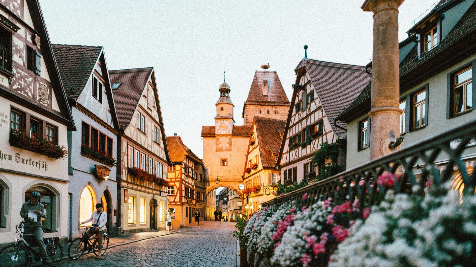 white and pink petaled flowers on metal fence near concrete houses and tower at daytime