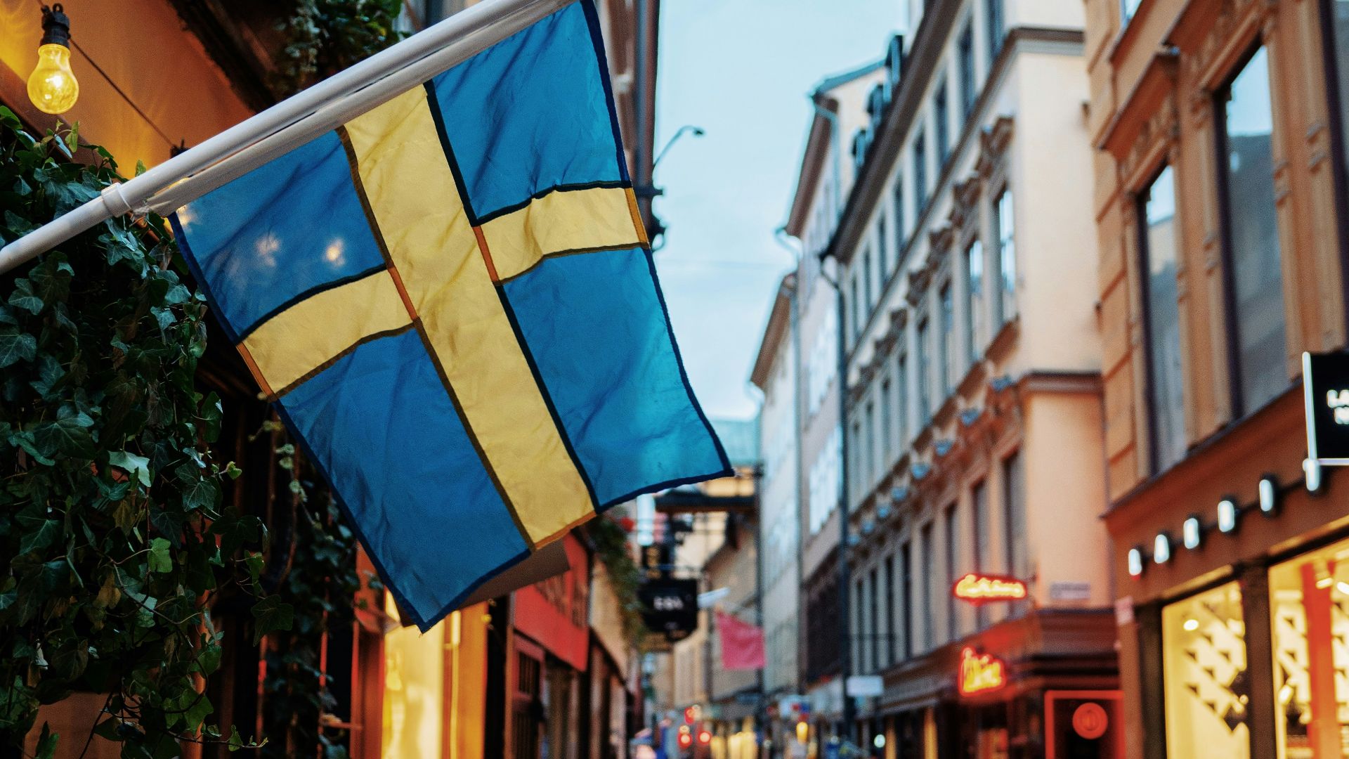 people at the street between commercial buildings