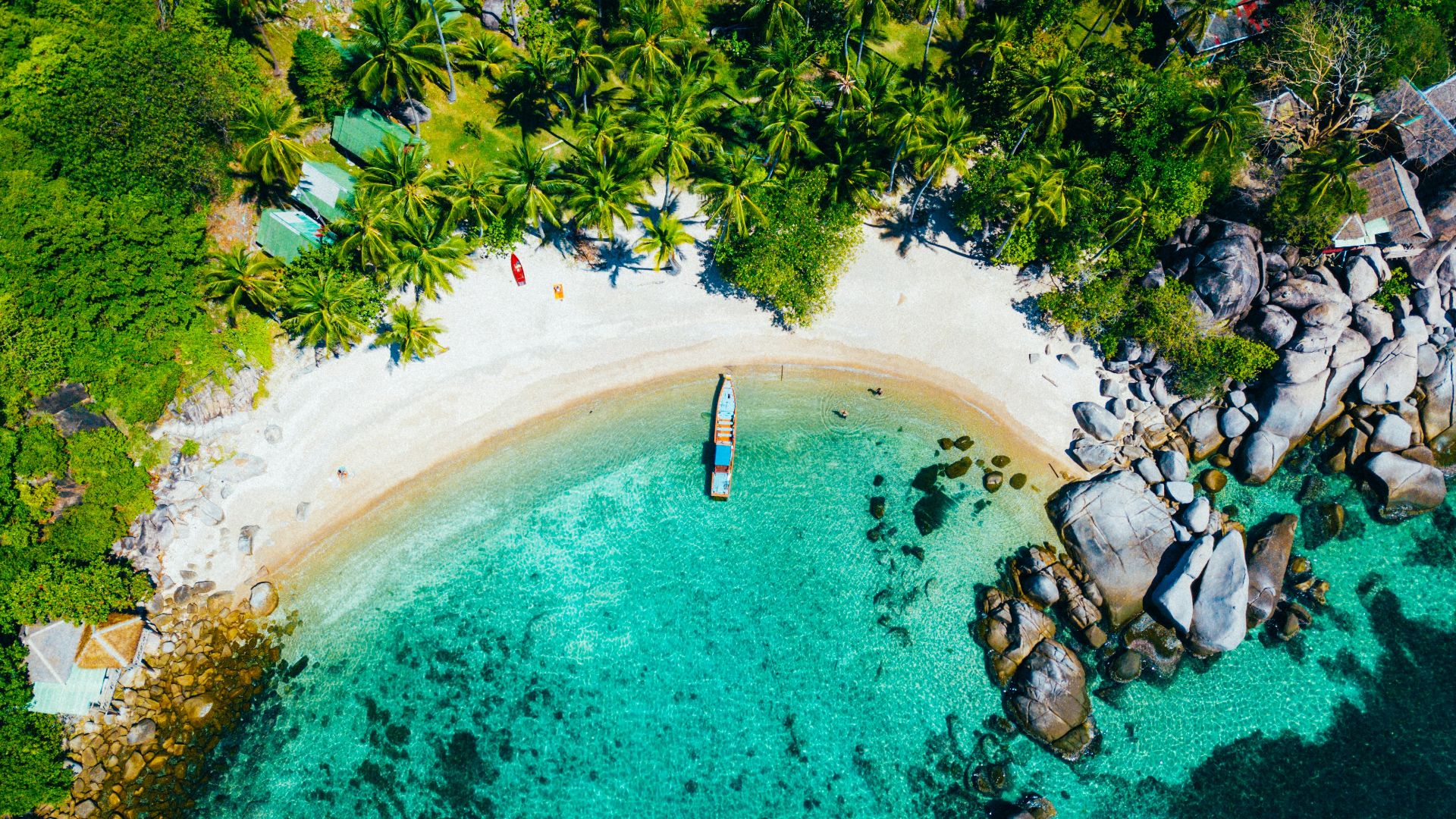 white boat dock on seashore near green trees during daytime