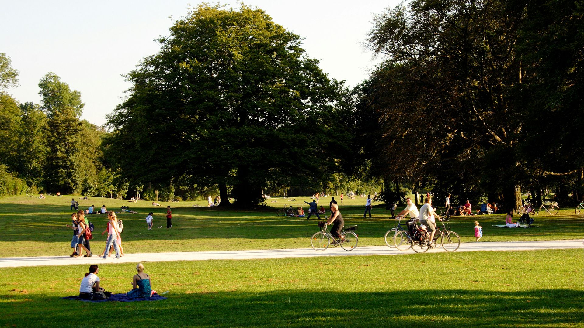 people playing soccer on green grass field during daytime