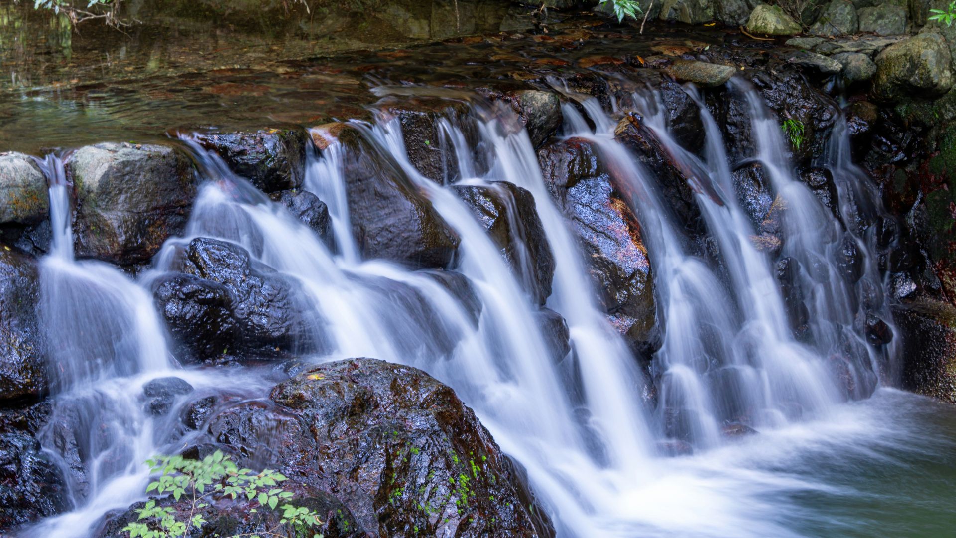 a small waterfall in the middle of a forest