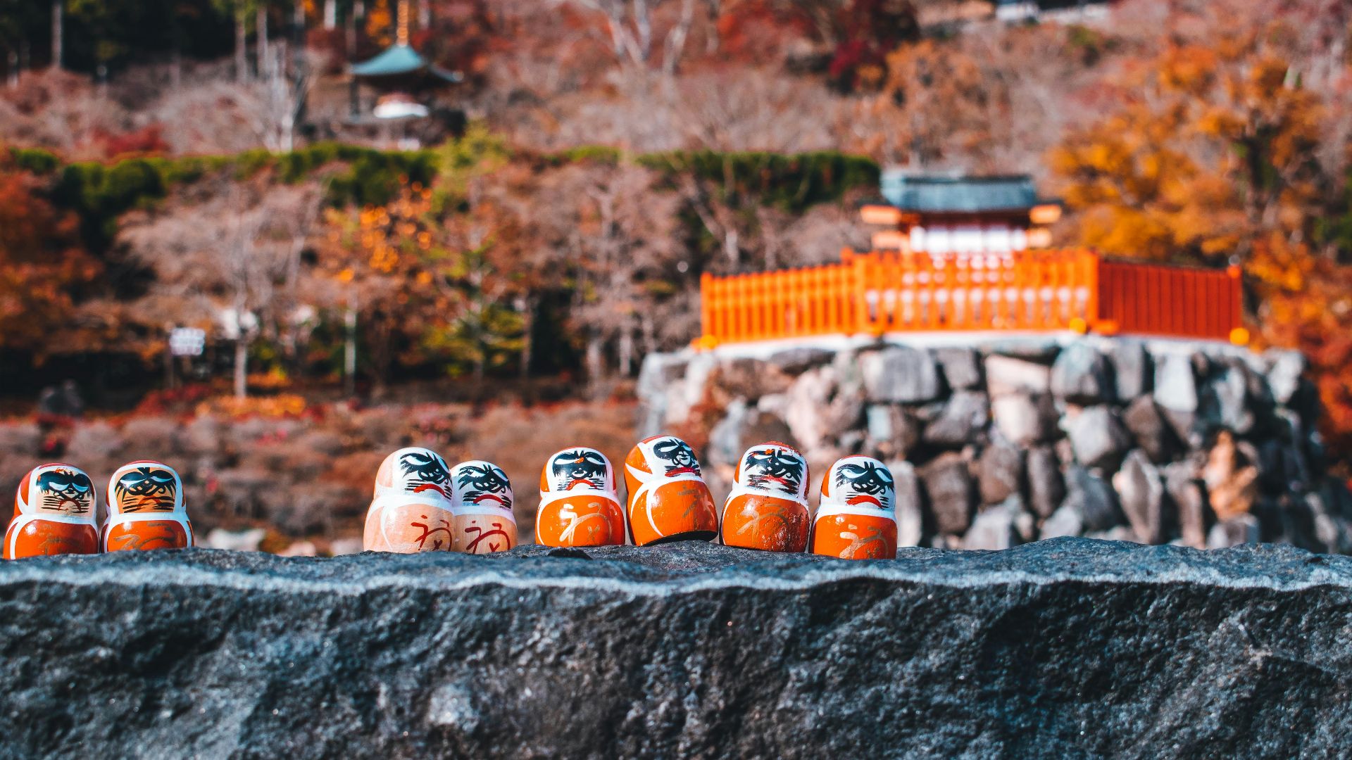 orange and white plastic bottles on gray concrete wall