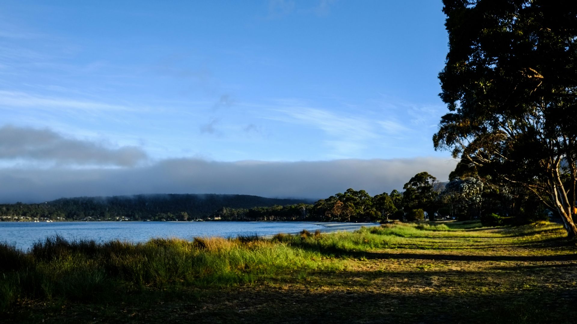 green grass field near body of water under blue sky during daytime